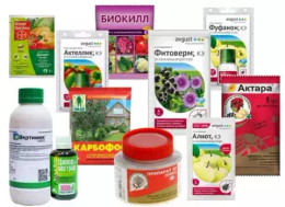 Средства от насекомых вредителей