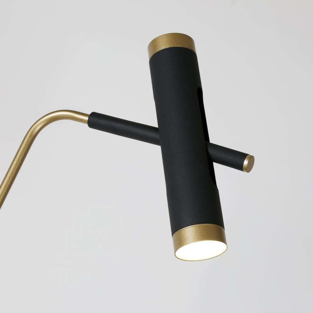 Торшер светодиодный Favourite Duplex 2324-2F