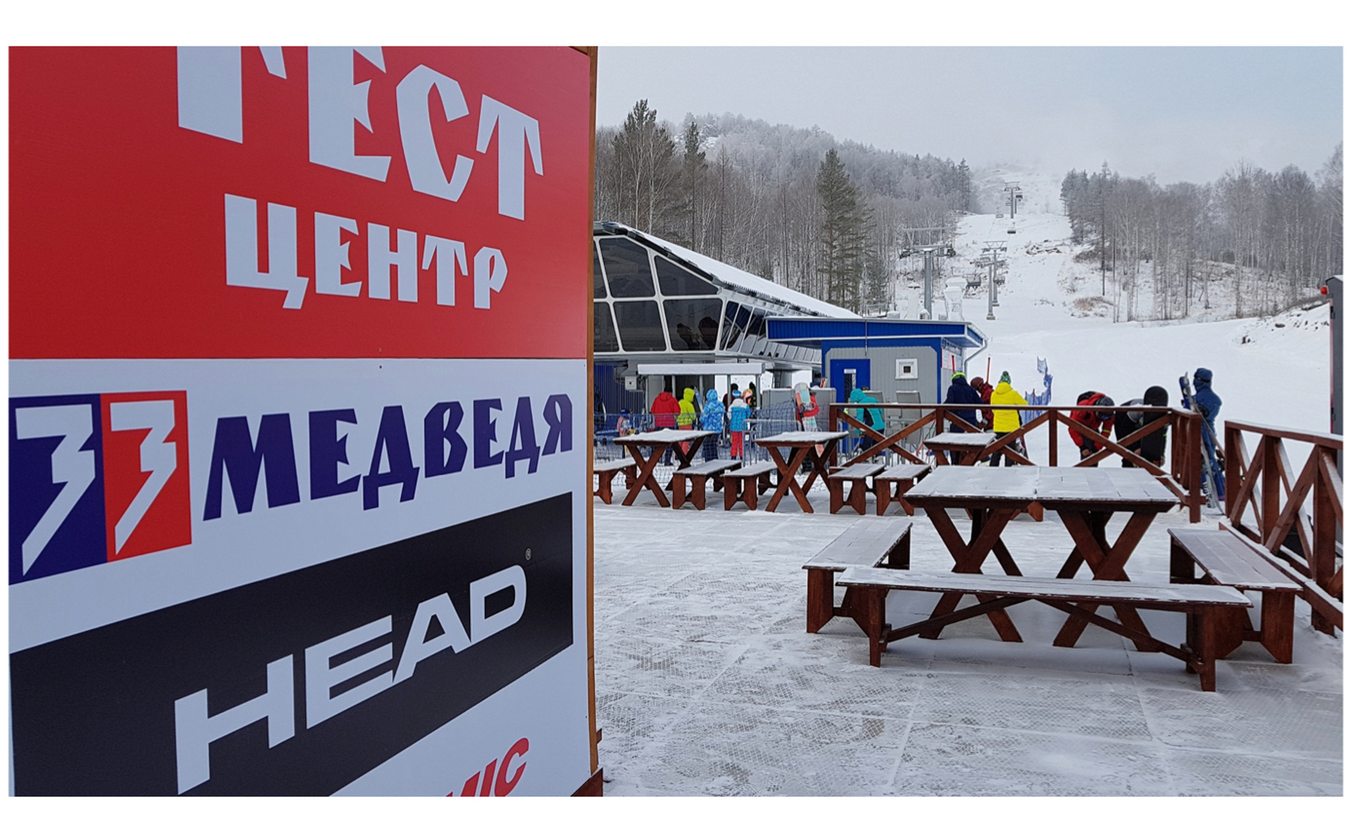 японский спортивный медведь. медведь спортсмен. спортивный медведь. магазин медведь логотип. медведь векторное изображение.