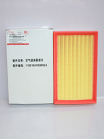 Фильтр воздушный (ОРИГИНАЛ) 1109104XGW02A для Haval Jolion