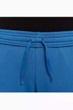 Штаны Nike Dri-Fit Academy 23 Junior