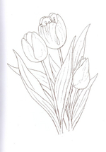 Альбом для раскрашивания полноцветный. Раскраски