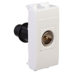 Розетка TV одиночная модульная, "Avanti", "Белое облако", 1 модуль