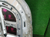 Капот Geely Coolray (2019-2023)