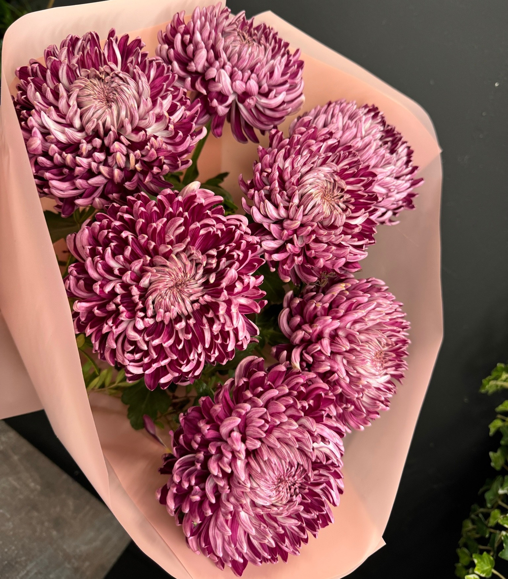 Монобукет из 7 винных хризантем бигуди