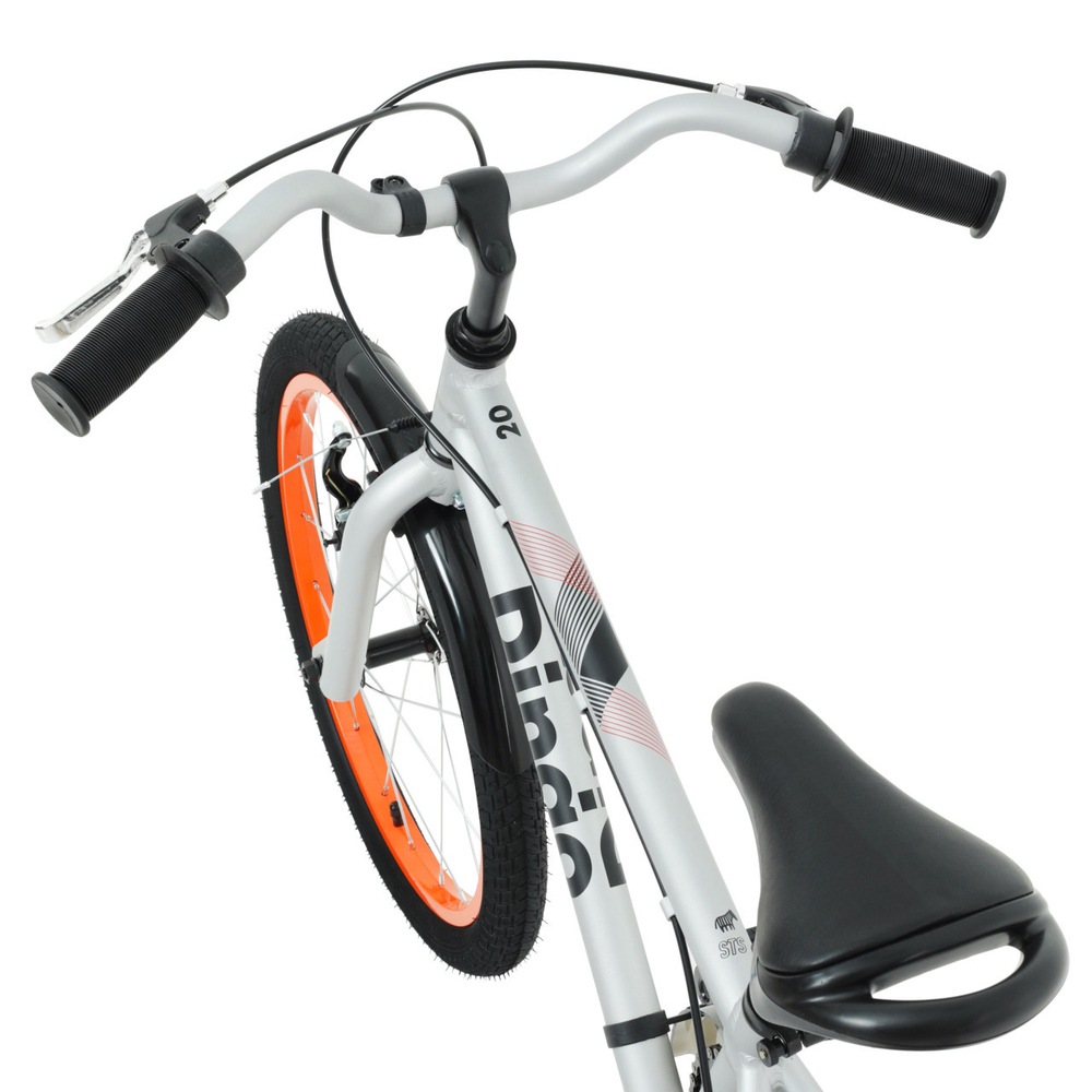 Детский велосипед Welt Dingo 20 (2024)