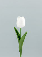 Тюльпан латекс Микс (набор из 14 штук)