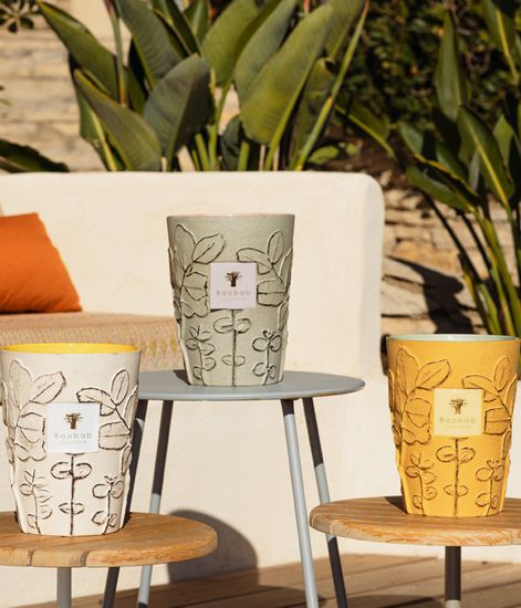 Maquis, свеча MAX 10 Folia collection, Baobab Collection