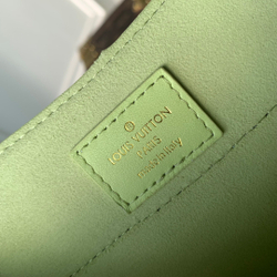 Louis Vuitton Hide & Seek Bag