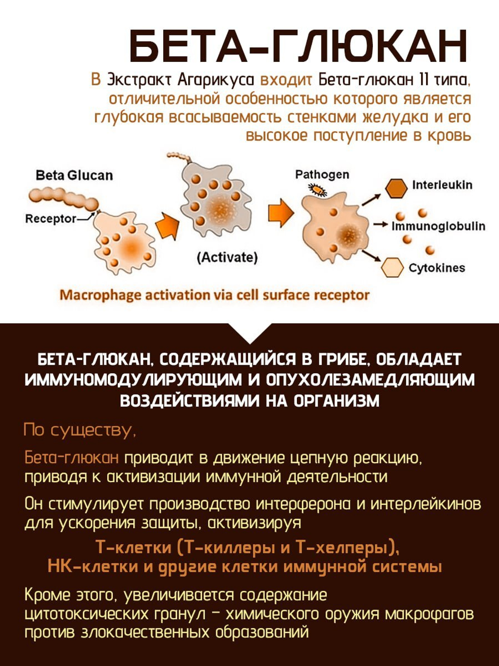 Fine Japan экстракт Агарикуса, гриба долголетия
