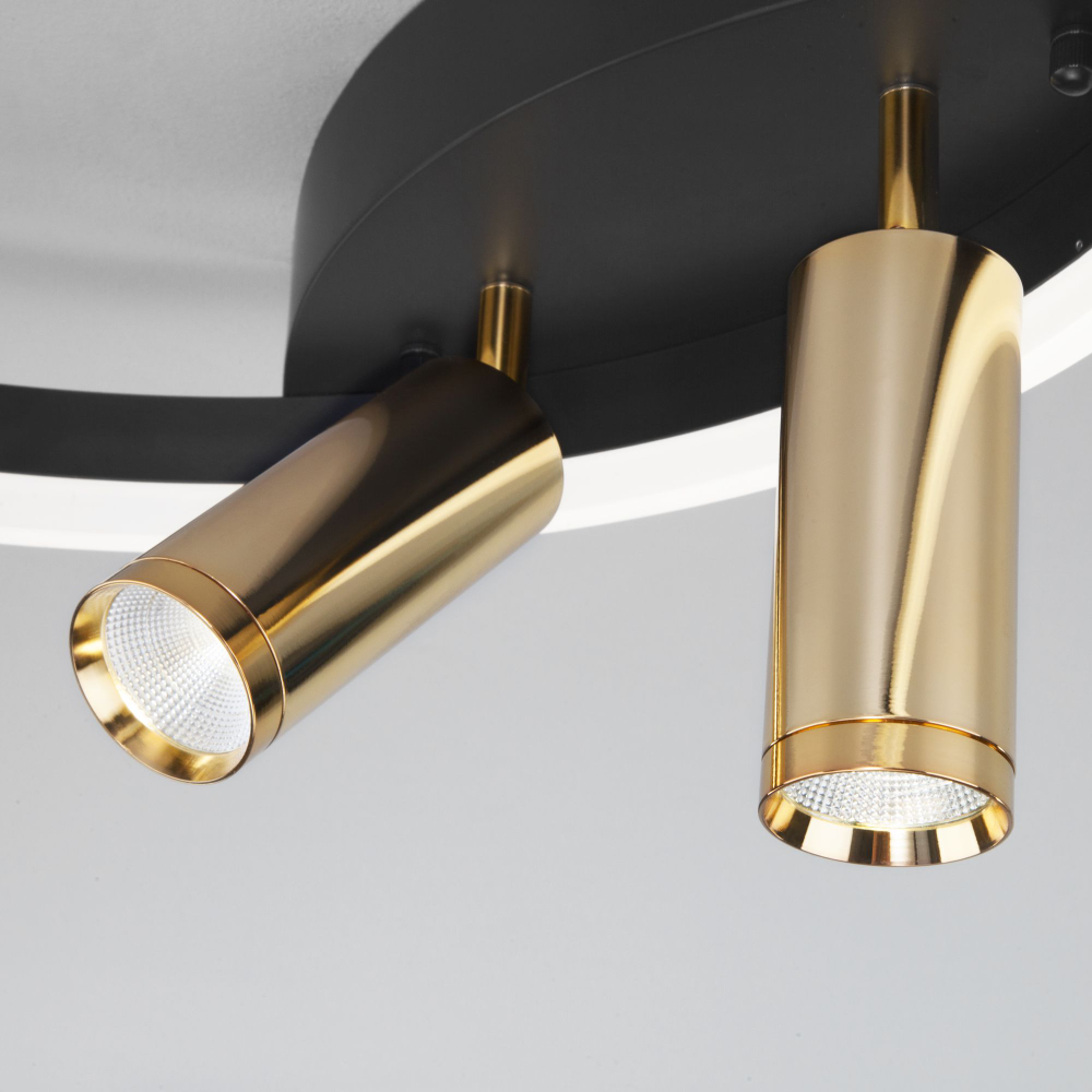 Умный потолочный светильник Eurosvet Luminari 90247/3 90247/3 черный/золото Smart