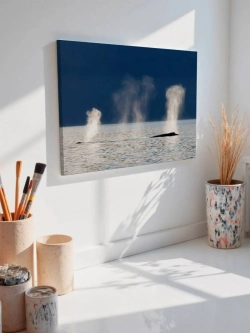 Картина на стену 40 X 50 Кит