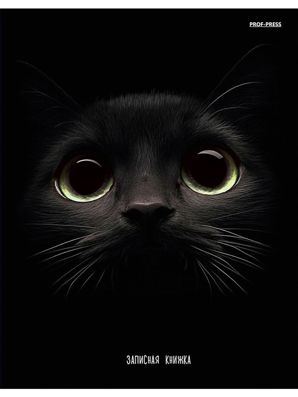 Блокнот А5 7БЦ 160л "Взгляд кота" клетка, глянц.лам.