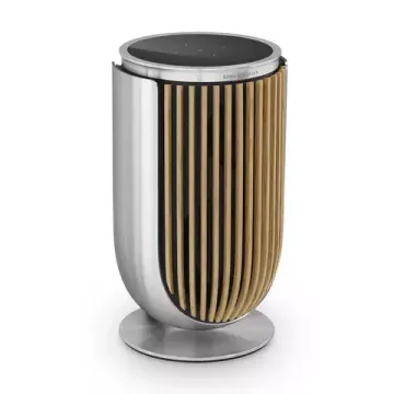 Bang & Olufsen Beolab 8 Silver/Oak, TS