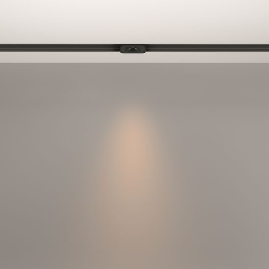 Трековый светильник Technical TR100-2-2W3K-S-B