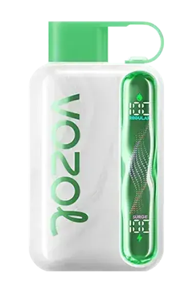 Vozol STAR 40000 - Watermelon Bubble Gum (5% nic)