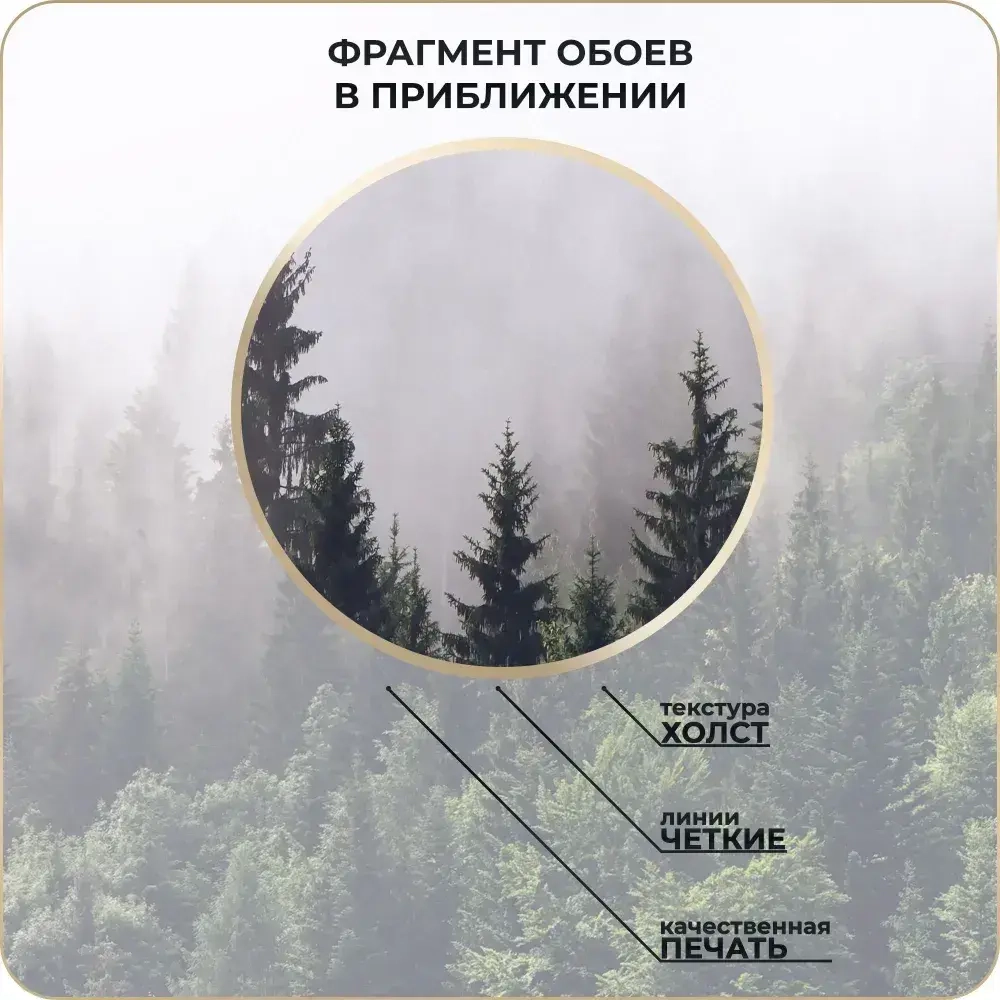 Фотообои 3D Лес в Тумане в спальню, в гостиную, на кухню 300х250