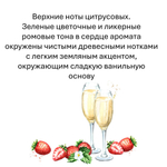 Клубничное шампанское, кубики восковые для ароматизации, 10 штук