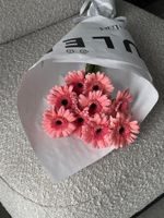 Кулек из герберы в нежно-розовом оттенке