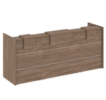 Ресепшен Оникс (Onix) вариант №16