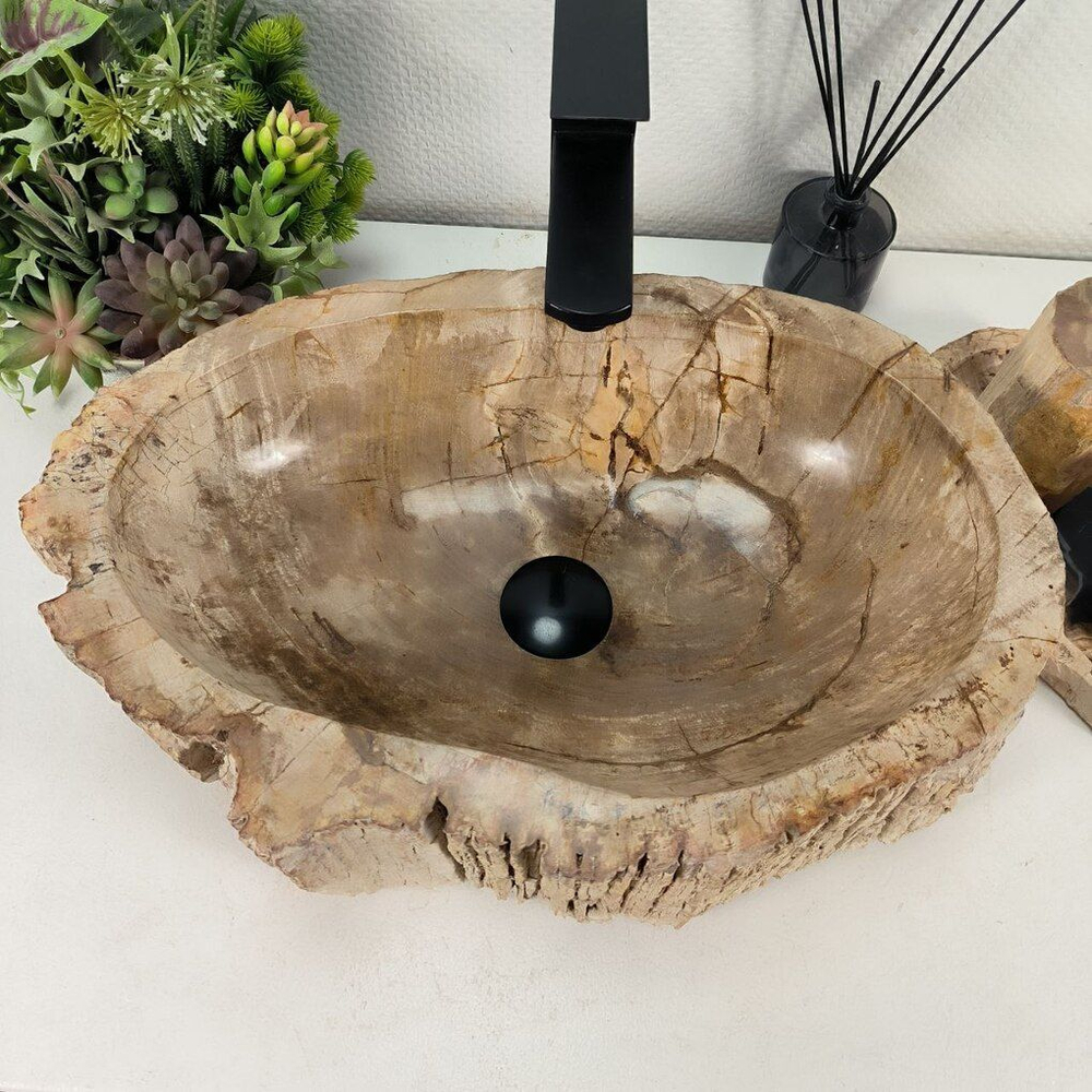 Каменная раковина из окаменелого дерева OD-04405 (52*36*15) 0175 из натурального камня