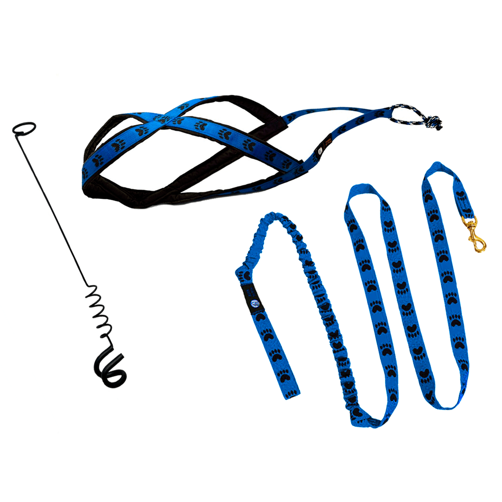 Велоудочка с комплектом амуниции для байкджоринга и догскутеринга Лапки