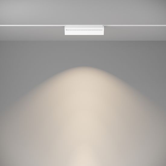 Трековый светильник Technical TR013-2-20W4K-W