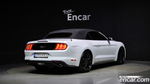 Ford Mustang Convertible (11.2022)
