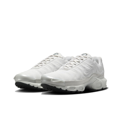 Кроссовки Nike Air Max Plus 'Reflective Platinum Tint' FZ4342-001