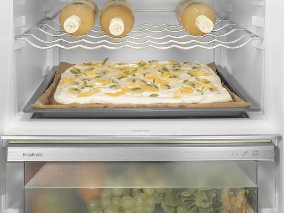 Холодильник Liebherr IRd 5100-22 001