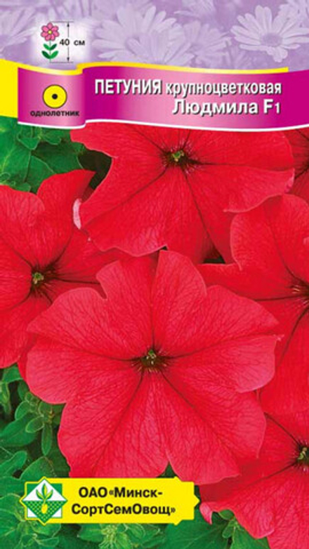 Петуния крупноцветковая "Людмила F1" 10шт, Чехия.