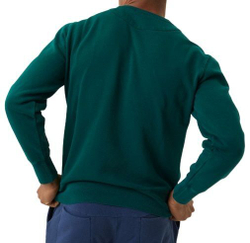 Мужская теннисная кофта Björn Borg Stockholm Crew - зеленый