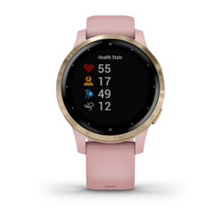 Умные спортивные часы Garmin VIVOACTIVE 4S