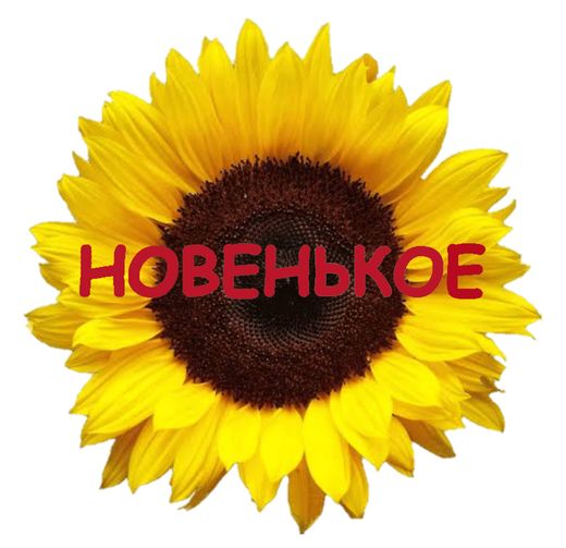 Новенькое