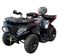 Квадроцикл APOLLO CyberRoamer 250 Max (2025)