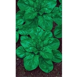 Семена Шпинат Крепыш 1,5гр (УД) Е/П