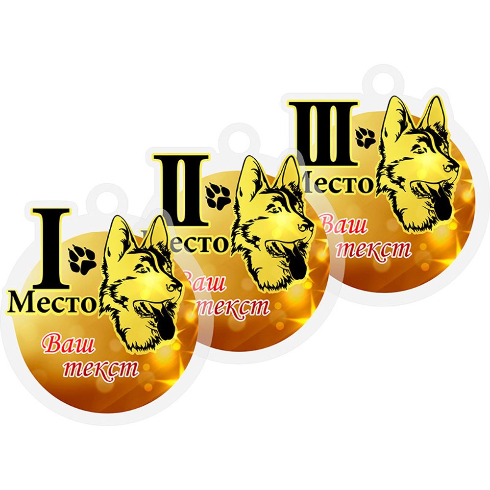 Акриловая медаль 1551