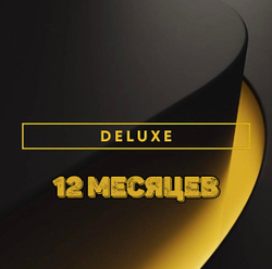 PS Plus Deluxe на 12 месяцев