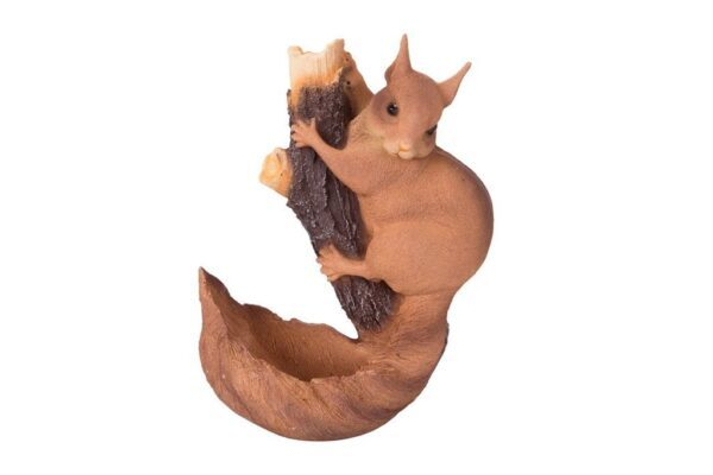 Белка на ветке Белка