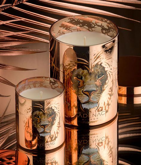 Lion, свеча Africa collection, Ladenac Milano