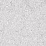 Японский бисер TOHO Demi 11/0 (№1), прозрачный глянцевый