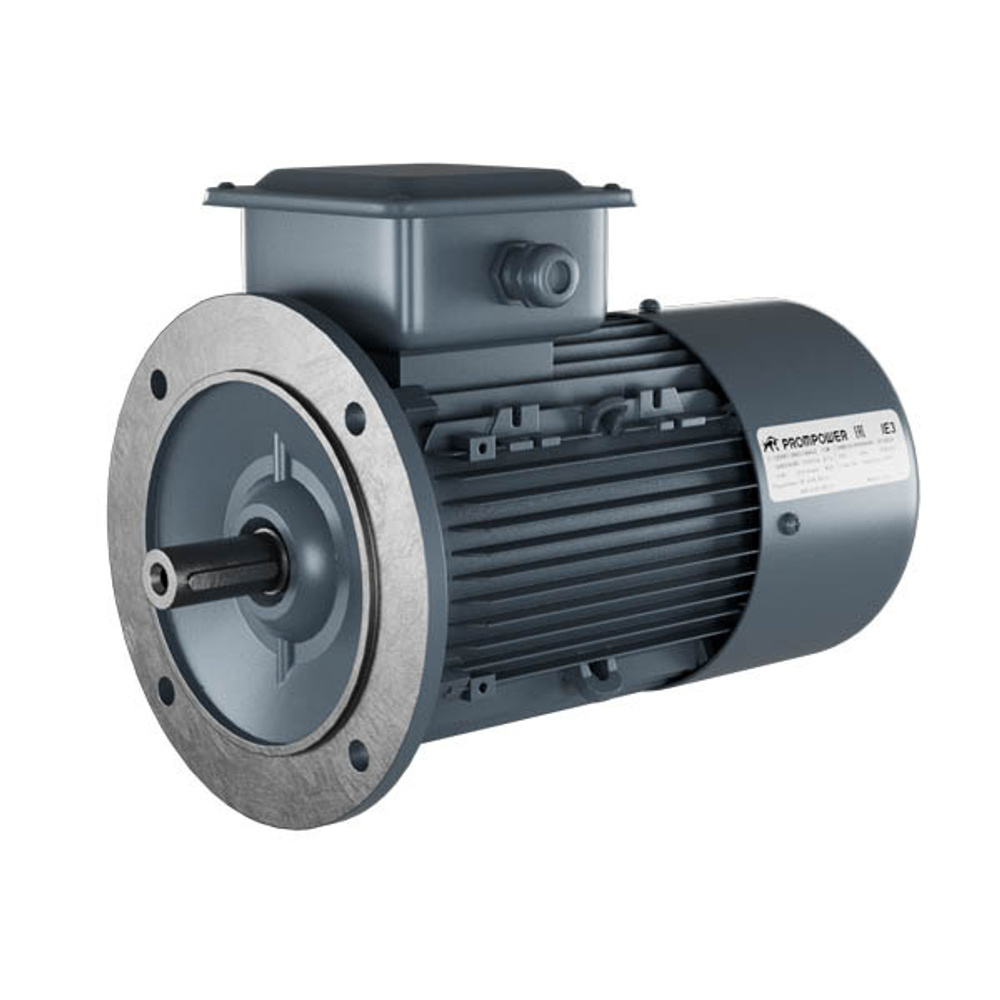 Асинхронный двигатель Prompower 1LE9, 55 кВт, 3000 об/мин, 380/660 В, 1LE90032CA233FB4