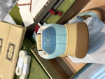 Кеды Gucci