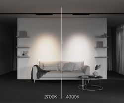 Трековый трехфазный светодиодный светильник Maytoni Trinity Points TR195-3-20W4K-M-B