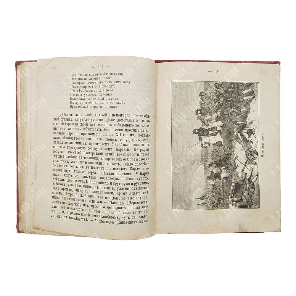 Сорокин В. Рассказы о Петре Великом, 1899.
