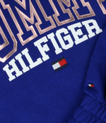 Худые Tommy Hilfiger - голубой(KG0KG07373)