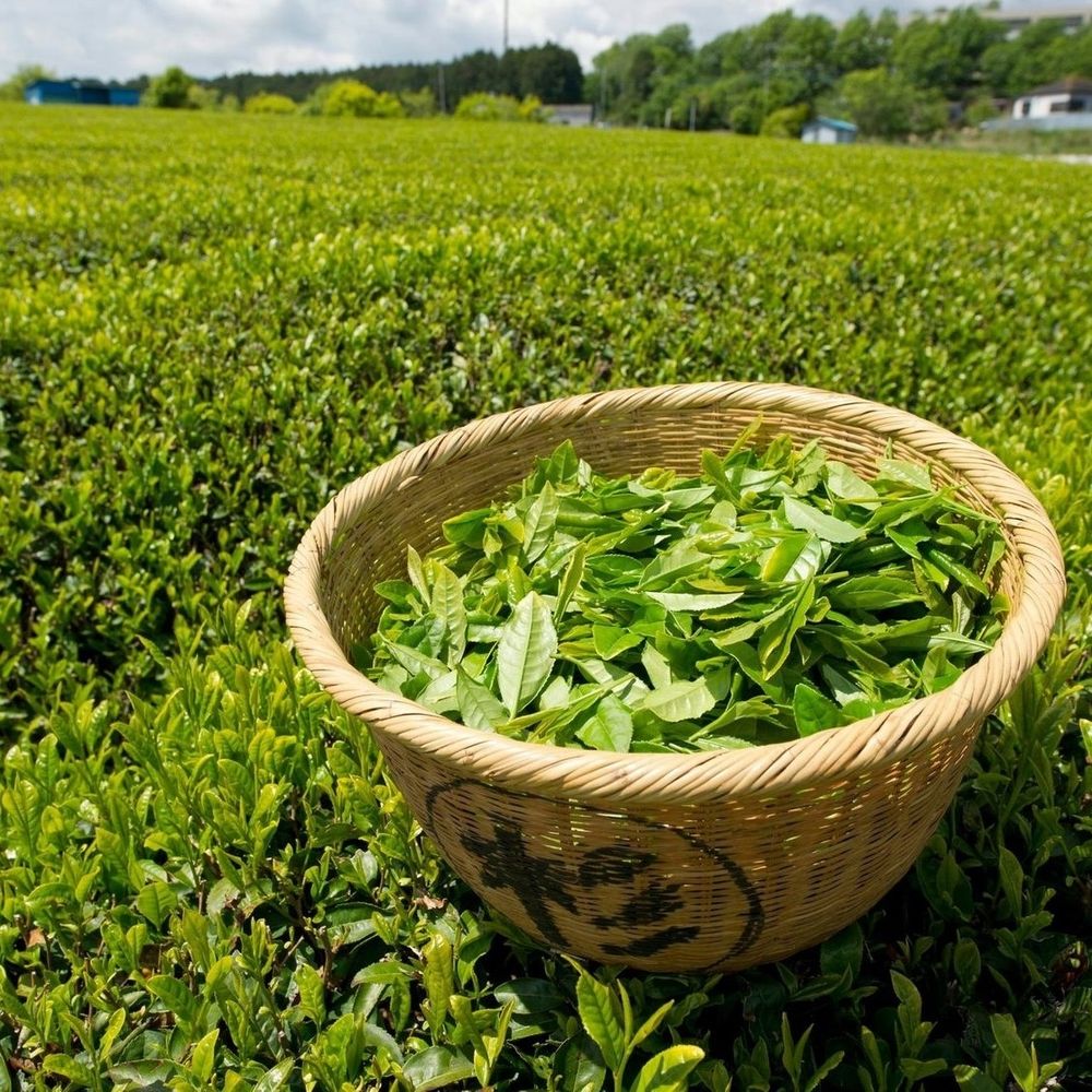 Чай черный Bharat Bazaar TPG Golden Earl Grey 100 г