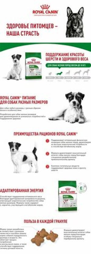 Уценка! Срок до 06.2024/ Корм для собак мелких пород, Royal Canin Mini Adult