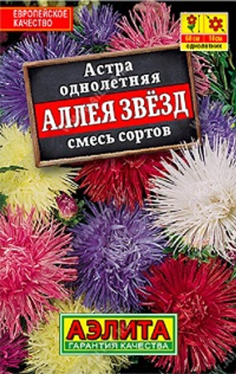 Астра Аллея звезд, смесь сортов