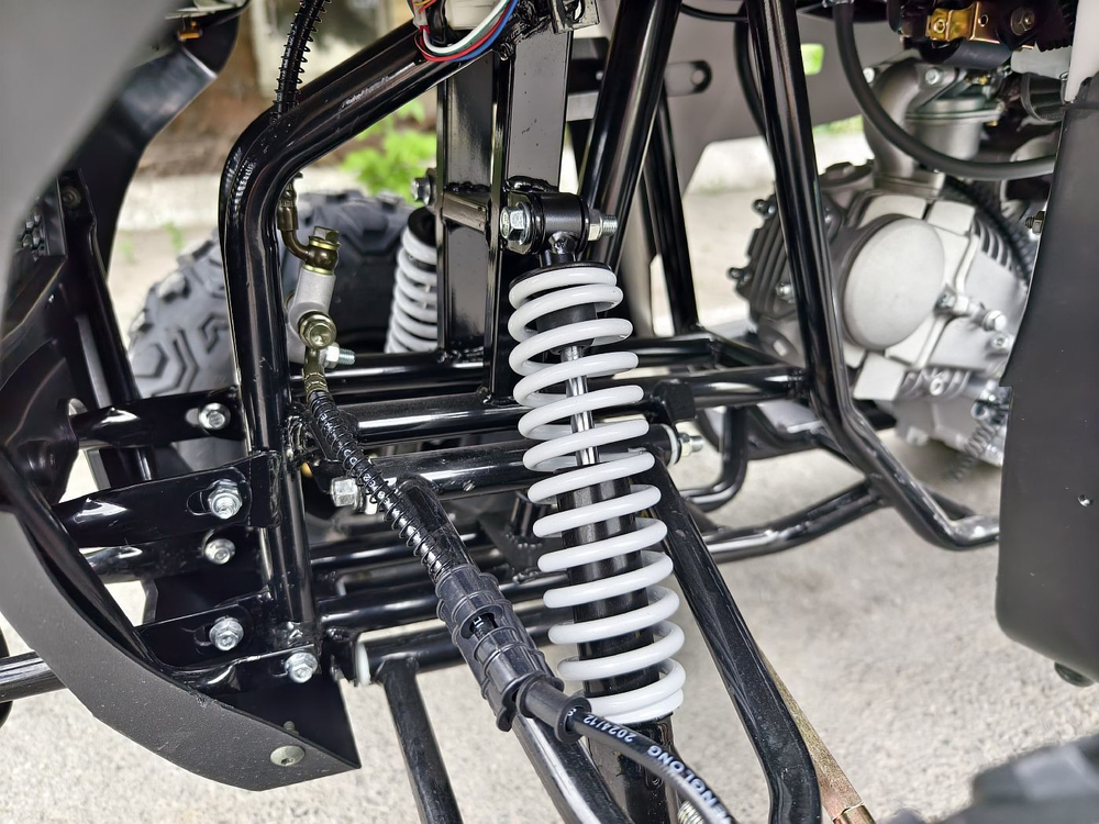 Lion 125 RR серый
